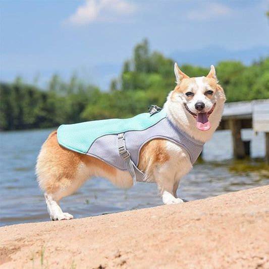 Reflective Quick Release Summer Dog Cooling Vest